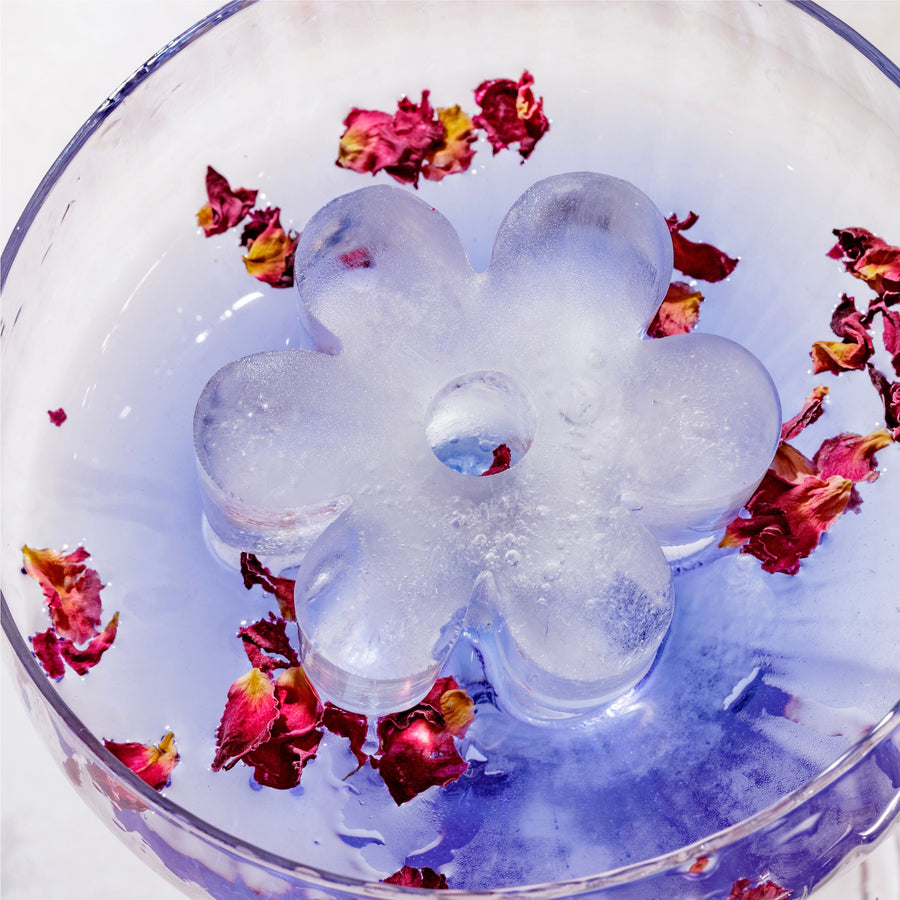 Drinks Plinks Retro Daisy Pink